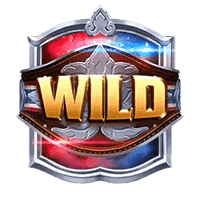 สัญลักษณ์ WILD